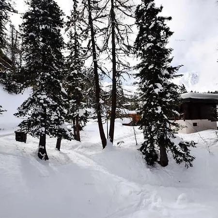 Chalet Le Mazot - Le Mazot - 6 Pers. à Plagne Centre - Ctmaz Mae-1934